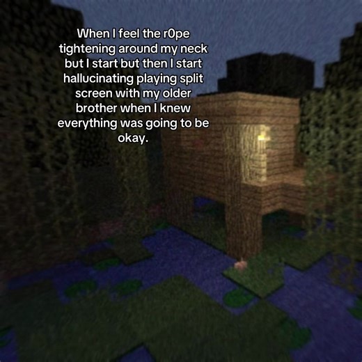 Nostalgic Minecraft Split Screen Moments