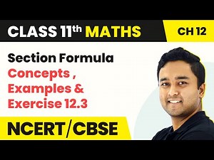 Section Formula - Concepts , Examples & Exercise 12.3 | Class 11 Maths Chapter 12