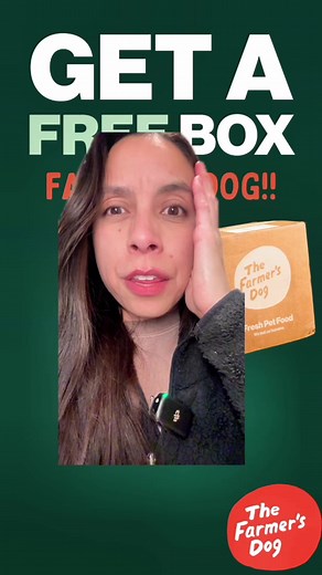 Free food here: https://thefarmersdog.otegtm.net/5bE7Go | Rachel Fusaro