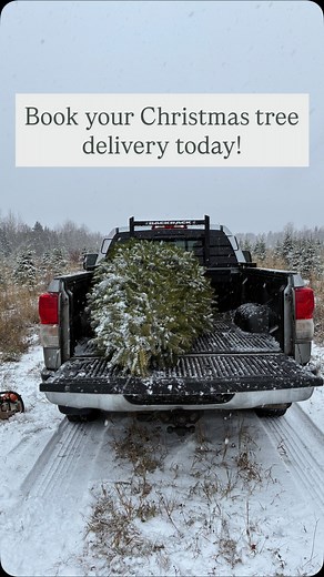 Christmas tree deliveries have officially begun from Thomas Christmas tree farm! We deliver within Fredericton city limits for a $10 delivery fee. We we will cut your tree fresh and deliver it straight to your door. Message us today to secure a delivery slot. Tree pricing is as follows: Under 4ft - $25 4-6 ft - $40 6-8ft - $50 8-10ft - $60 Delivery $10 within Fredericton city limits Outside city limits - case by case basis Message us today to book or reserve by calling 506-282-1996. | Thomas Chr