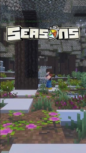 SEASONS in Minecraft! #minecraft #addon