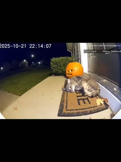 Shot from another camera😱😱#viral #fyp #camera