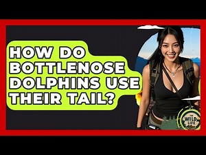 How Do Bottlenose Dolphins Use Their Tail? - The Wild Life Explorer