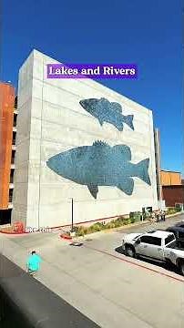 Bentonville, Arkansas Travel Vlog - Mississippi River Country #travel #vlog