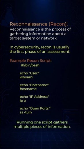 Shell Scripting for Automation & Reconnaissance | Bash Scripting Explained