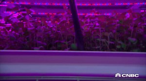 The world's largest vertical farm is being developed in an unlikely place. » http://cnb.cx/1HewDSZ | CNBC