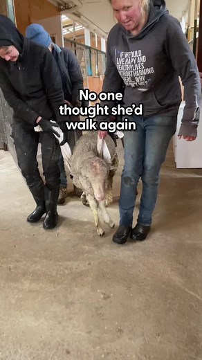 Sally's Inspiring Transformation After 30 Days of Therapy