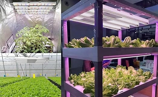 Full Spectrum Grow Light