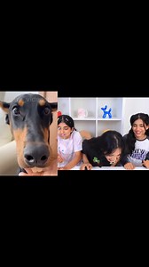 111K views · 2K reactions | Try not to laugh water challenge shfa #comedy #viral #hairstyle #trendingvideo #funny #partygame #comedy #viralreels | Shfa2 | Facebook