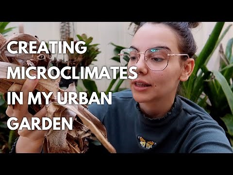 How to Create Microclimates in Your Garden: Beginner Permaculture Guide