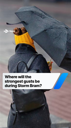 Amber warning for wind to come into place from 4pm Alert covers the Highlands, Western Isles, and Argyll and Bute Storm Bram to bring gusts of up to 90mph amid a danger to life Power cuts and disruption to travel likely Yellow warning for wind and rain across much of Scotland until Wednesday Highland rail services to be suspended due to “extreme winds” Glasgow’s Winter Wonderlands have been forced to shut #Scotland #news #UK | STV News