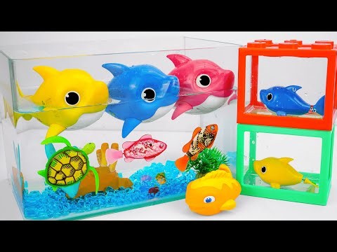 🦈toy asmr🦈 ZURU Robo Alive Aquarium 🐊 Robo Shark & Turtle & Fish ✨ Fun Review Toys (No Talking)