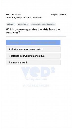 Biology 12th Coronary Sulcus Explained