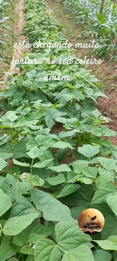 Deus vai prover na sua vida e dá sua família