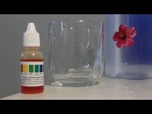 Fiji Water PH Level Test | Acidic, Neutral, or Alkaline?