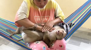 28K views · 2.9K reactions | Little Jason Stunned Upset That Mom Play Press Heart Tell To Sleep | Monkey Jason | Facebook