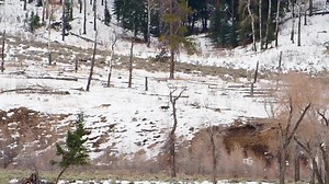 33K views · 814 reactions | Approximately one out of every five...