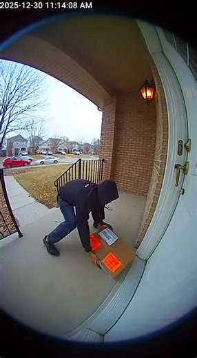 Furry Friends Vids (@furry.friends.vids)’s videos with original sound - Furry Friends Vids