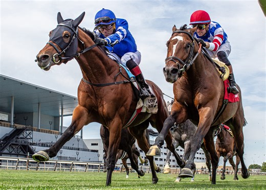 Belmont Derby Picks 2024 | Belmont at the Big A