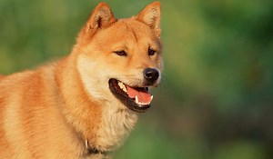 Thinking Points, October 24, 2023