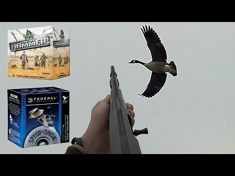 Expensive VS Cheap Shotgun Shell CHALLENGE (Hevi Hammer VS Steel) | AMAZING RESULTS!!!!!!