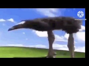 DAMN!!!!!!!!!!!!!!!!!!!!!!!!!!!!!!!!!!! bird