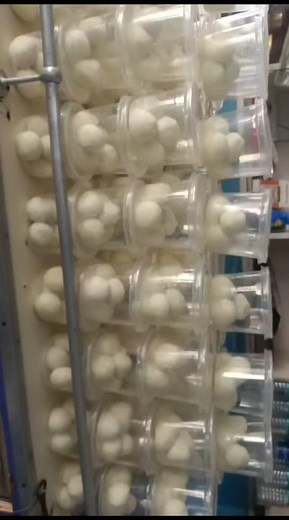 Pritam Kumar on Reels