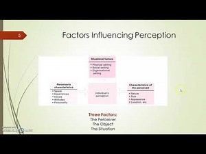 Topic 8.2 - Factors Influencing Perception