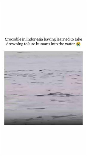 Pubewitty on Instagram: "The “Blink-Shift Delay” Glitch That Has Gen Z Losing It Over Their Own Eye Movements 👁️⚡😵‍💫 There’s a trend going viral right now called the Blink-Shift Delay, and it’s making people feel like their eyeballs are running on outdated firmware. The challenge is simple: record yourself talking, laughing, or just vibing. When users slow the clip down, they’re noticing a split-second delay where their eyes seem to look in a new direction before the rest of their face reacts