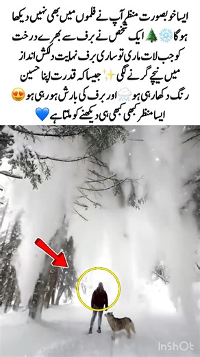 Magical Snowfall Moment❄️#NatureBeauty #SnowFall #WinterVibes #MagicalMoment #IncredibleView #India