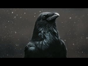The Raven Method (guided meditation for shifting realities)