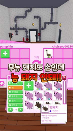 입양하세요 돼지 - 로블록스 상점 초대장, 선물, 영상 가치표