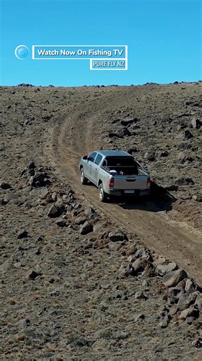 352K views · 2.8K reactions | These jurassic trout get HUGE on this...