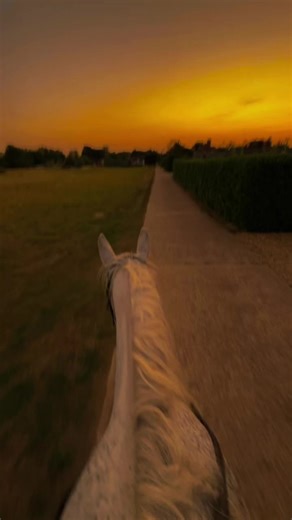 Horse Riding Enthusiast Showcase