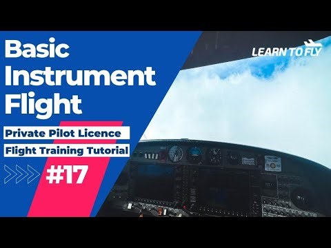 【Learn To Fly #17】RPL / PPL Flying Lesson | E17 Basic Instrument Flight #RPL #PPL #FlightTraining