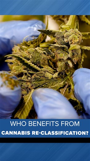 Changes could soon be coming to the cannabis industry after new action by the White House. On Thursday, President Trump signed an executive order ordering the Attorney General’s Office to reclassify marijuana from a Schedule I to a Schedule III drug “in the most expeditious manner in accordance with Federal law” citing the medicinal benefits of the drug. Schedule I drugs, under the Controlled Substances Act, are considered to have the highest potential for abuse without an accepted medical benef