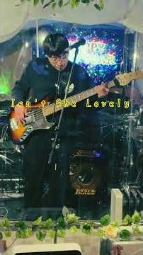 Isn't She Lovely Bass Cover