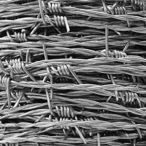 [Hot Item] 50kg Barbed Wire Price Per Roll / Galvanized Stainless Steel Barbed Wire Fence Roll