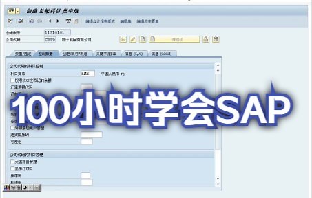 100小时学SAP视频-实操练习录像
