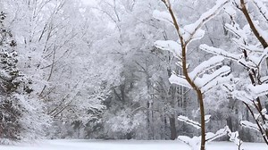 3K views · 171 reactions | Snow day! Stay safe and follow North Carolina Department of Transportation for updates. | Visit North Carolina | Facebook