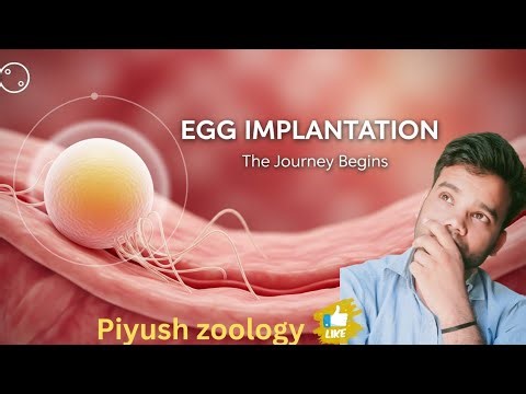 Implantation #b.sc #neet #m.sc #net #class12 #zoology #piyushzoology