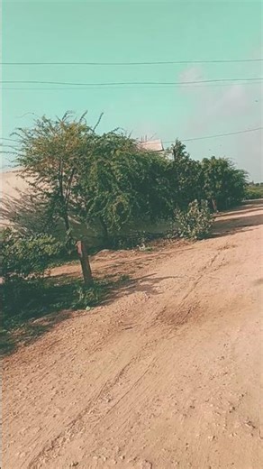 लाइक सब्सक्राइब शेयर जरूर करें