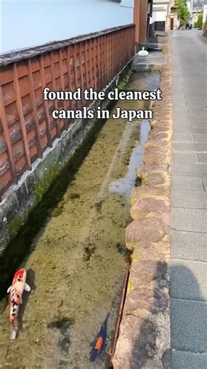 Japan is Crazy 🔥
