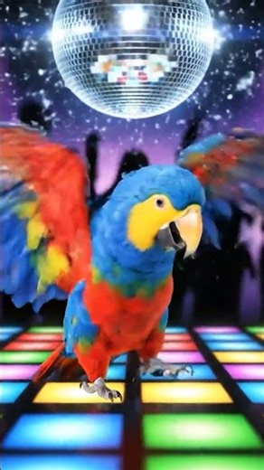 Disco Parrot