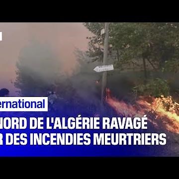 Le nord de l'Algérie fait face à des incendies meurtriers