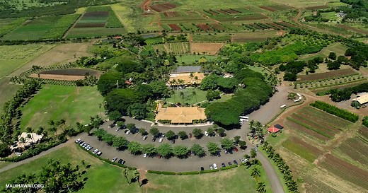 Maui Tropical Plantation - Farm Tours, Shopping, Restaurants