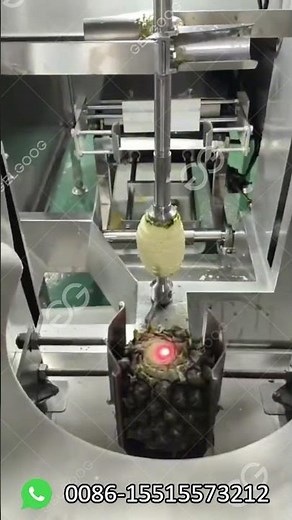 Pineapple Peeling And Coring Machine