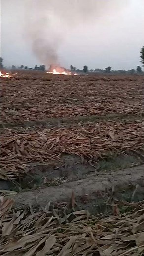 Field on Fire: Stubble Burning Captured Live