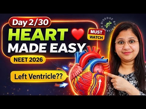 Human Heart Made Easy ❤️ | Day 2/30 NEET Biology Crash | Concept + PYQs