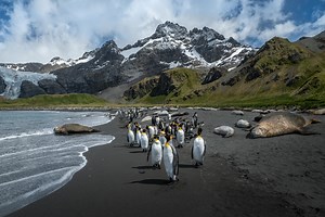 Antarctica Photography Gallery - Andrew Studer